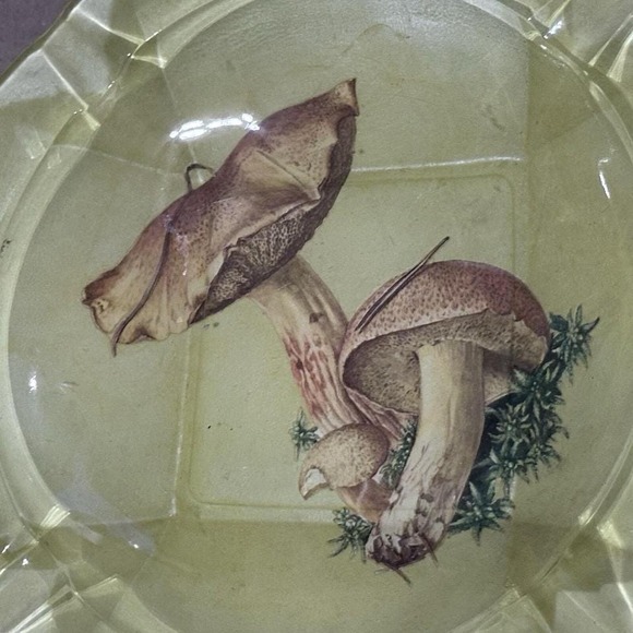 Vintage MCM 1980's Pheasant Glass Mushroom Painted Retro Ashtray. - Picture 2 of 4